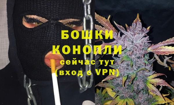 шишки Вязники